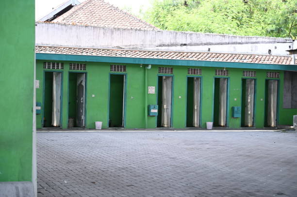 Best Sanitation services for porta potties  in Olive Hill, KY